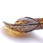marks view of ear trumpet