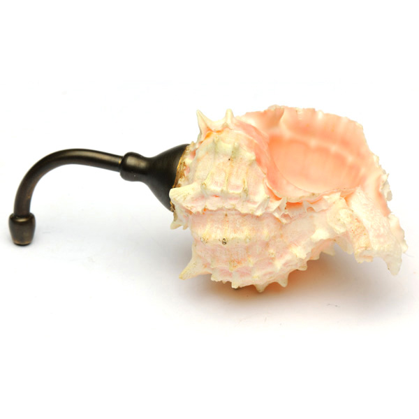 picture shows one piece ear trumpet @ EarTrumpets.co.uk