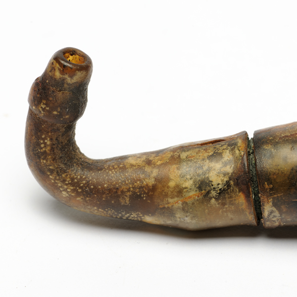 picture shows tragus ear trumpet @ EarTrumpets.co.uk